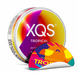 XQS - Tropical Strong - Slim (8 mg portion)
