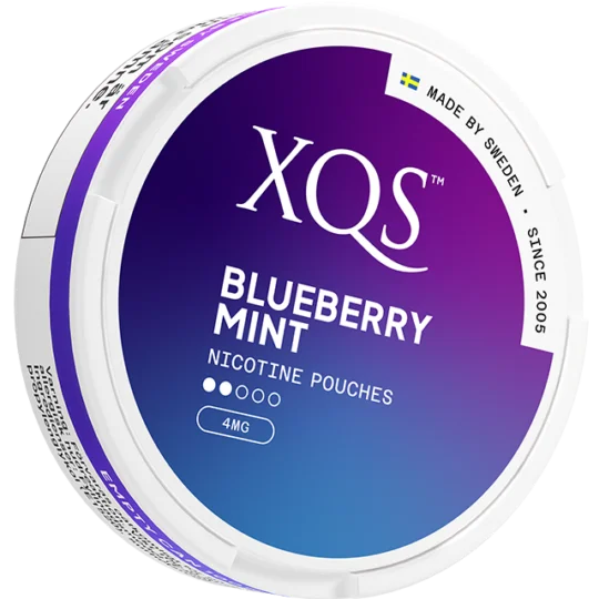 XQS – Blueberry Mint – Slim (4 mg/portion)