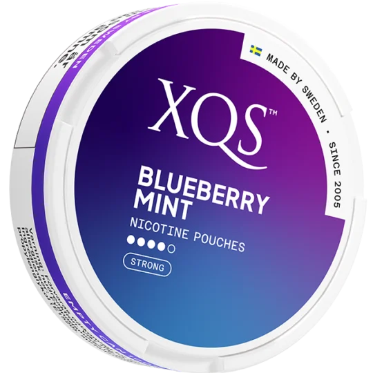 XQS – Blueberry Mint Strong – Slim (8 mg/portion)