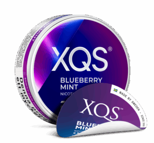 XQS – Blueberry Mint Strong – Slim (8 mg/portion)